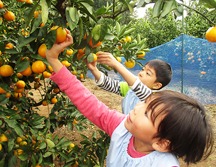 よつぎ第四保育園 東京都昭島市 の保育士正社員求人 保育士バンク
