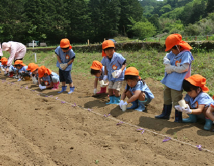 白道保育園 静岡県三島市 の保育補助パート アルバイト求人 保育士バンク