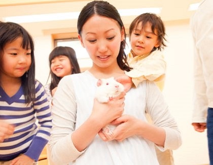 児童発達支援 放課後等デイサービスこすもす 兵庫県姫路市 の保育士 幼稚園教諭 その他 職種 正社員 パート アルバイト 契約社員求人 保育士バンク