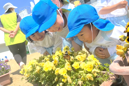 2025年最新】やまのみ保育園の求人・転職・募集情報(保育士/正社員