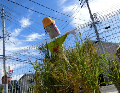 花の木いくみ保育園の保育士求人 正社員 愛知県名古屋市 保育士バンク