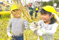 はるまちこども園(新潟県新潟市中央区)