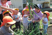 川井宿幼保連携型認定こども園(神奈川県横浜市旭区)