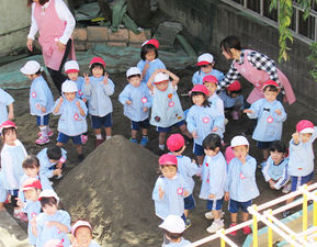 樫の木幼稚園 東京都北区 の幼稚園教諭正社員求人 保育士バンク