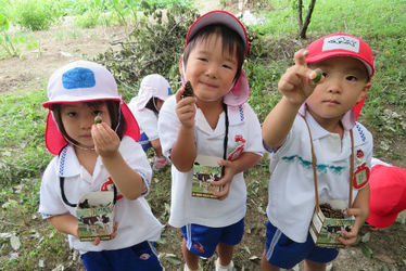 日進市 愛知県 の保育士求人 転職 募集情報 保育士バンク