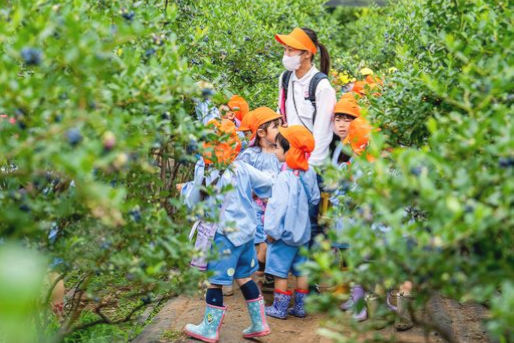 私立柏さくら幼稚園(千葉県柏市)