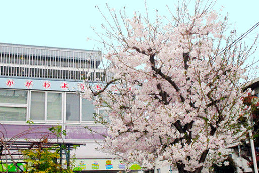 赤川幼稚園(大阪府大阪市旭区)