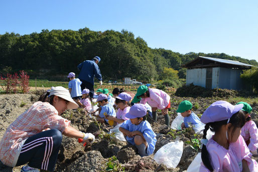 認定こども園 赤坂台幼稚園(大阪府堺市南区)