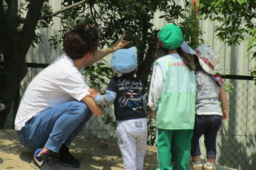 たちばな幼稚園 大阪府門真市 の保育教諭正社員求人 保育士バンク