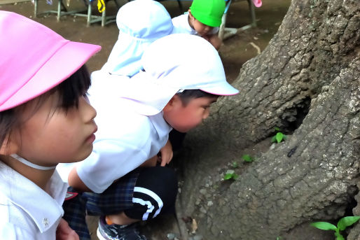 こびとの森保育園(埼玉県さいたま市南区)