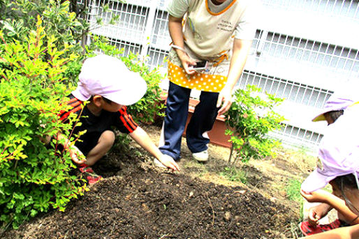 こころしながわなかのぶ保育園 東京都品川区 の保育士正社員 パート アルバイト求人 保育士バンク