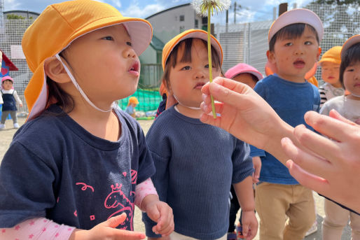 あおぞら水元保育園(東京都葛飾区)