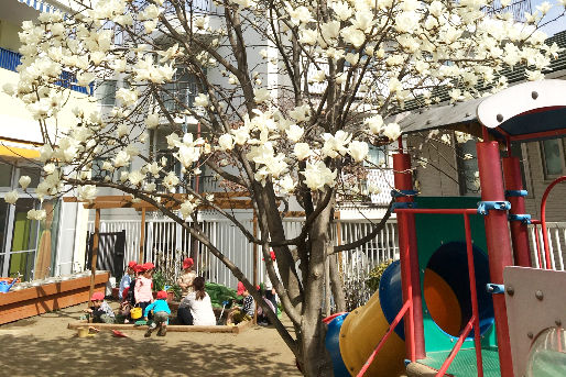 うちゅうこども園たんまち(神奈川県横浜市神奈川区)