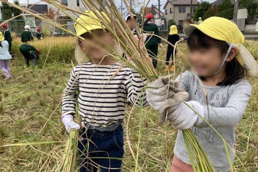 （仮称）はるまち西こども園(新潟県新潟市西区)