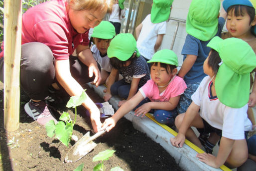 川井宿幼保連携型認定こども園(神奈川県横浜市旭区)