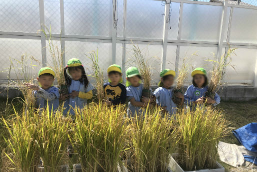 花の木いくみ保育園の保育士求人 正社員 愛知県名古屋市 保育士バンク