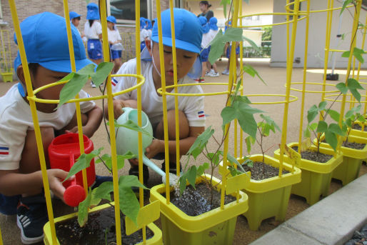 幼保連携型認定こども園小ざくら保育園(岡山県倉敷市)