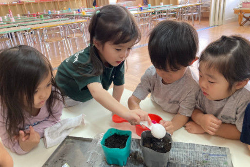 北都幼稚園（保育部）(北海道札幌市白石区)