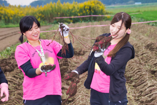 認定こども園あさひ幼稚園(茨城県水戸市)