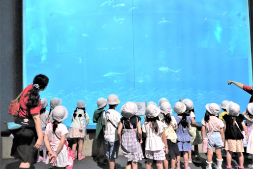 幼稚園型認定こども園第一くるみ幼稚園(千葉県習志野市)