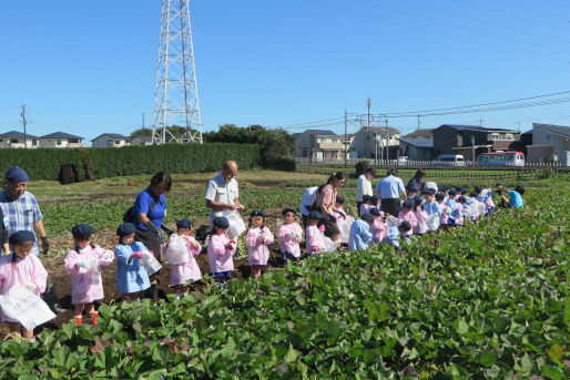 幼稚園型認定こども園第一くるみ幼稚園(千葉県習志野市)