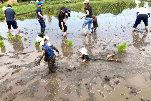 かがやき保育園とりで(茨城県取手市)