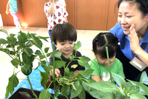 わくわく保育園(大阪府池田市)