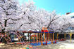 あびこ幼稚園