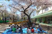 平和保育園