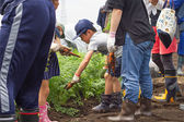 みらいく東武練馬園