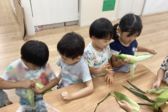 あおば保育園