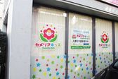 カメリアキッズ豪徳寺園