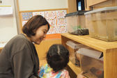 トレジャーキッズそね保育園