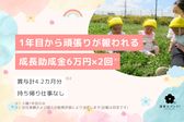 万願寺保育園