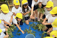 第一新座幼稚園