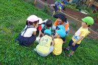 立川かしの木幼稚園