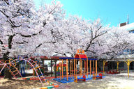 あびこ幼稚園
