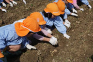 やまびこ幼稚園