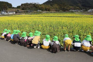 やまびこ幼稚園