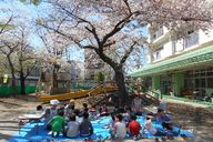 平和保育園