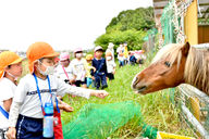 しらほ原保育園