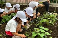 マリヤこども園