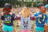 幼保連携型認定こども園 くすのきめぐみこども園