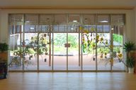 認定こども園　飛鳥ゆめ学舎