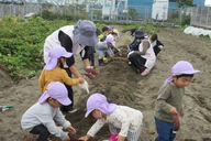 樹保育所宮之阪園