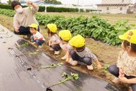 認定こども園　くまさんこども園
