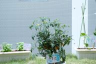 医療法人南風会万葉クリニック Windy令和