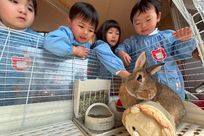 先輩たちに聞いた働く魅力画像(1)