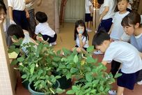 先輩たちに聞いた働く魅力画像(1)