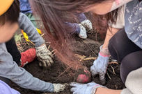 先輩たちに聞いた働く魅力画像(1)